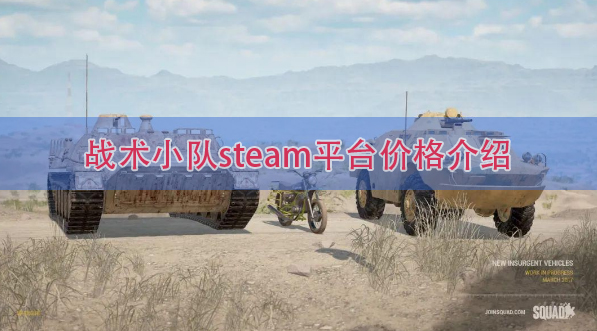 战术小队steam多少钱(战术小队steam叫什么)